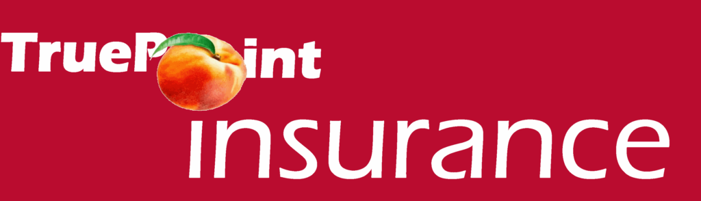 TruePoint Insurance, Insuring Georgia